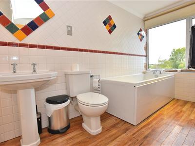 Picture 19